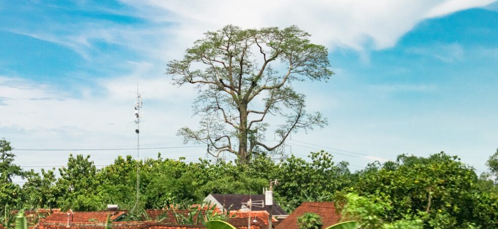 Prakiraan Cuaca Cirebon dan Sekitarnya Hari Ini Senin,06 Juli 2026