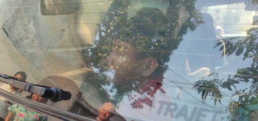 Seorang terduga pelaku pencurian masuk dan terjebak dalam mobil milik warga./ Ist.